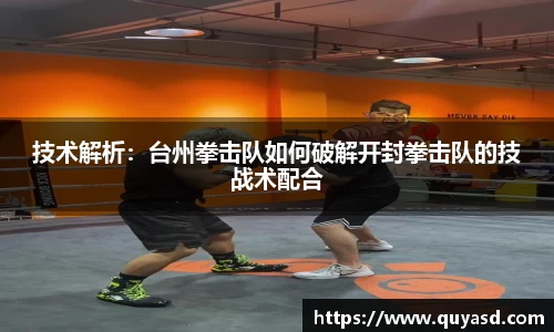 VSport官网入口vsport体育在线官网